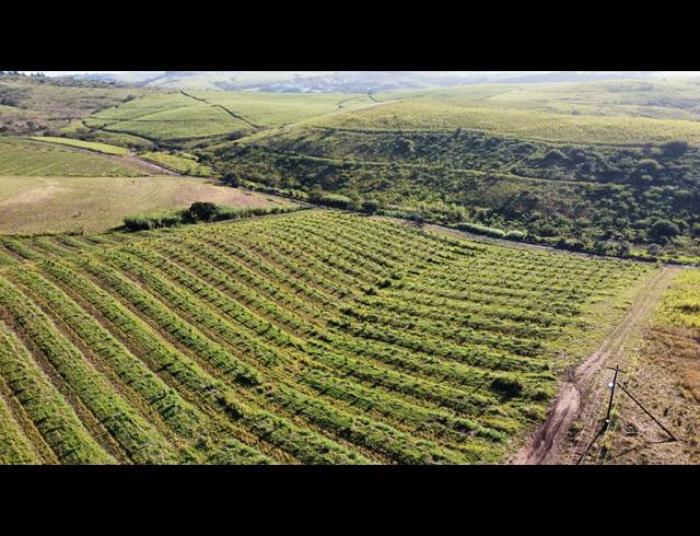 2HA VACANT LAND FOR SALE IN FAIRVIEW ESTATES